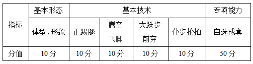 南京体育学院2021年表演专业(武术表演、舞龙舞狮)测试方法与评分标准