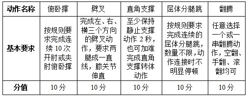 南京体育学院2021年表演专业(健美操)测试方法与评分标准